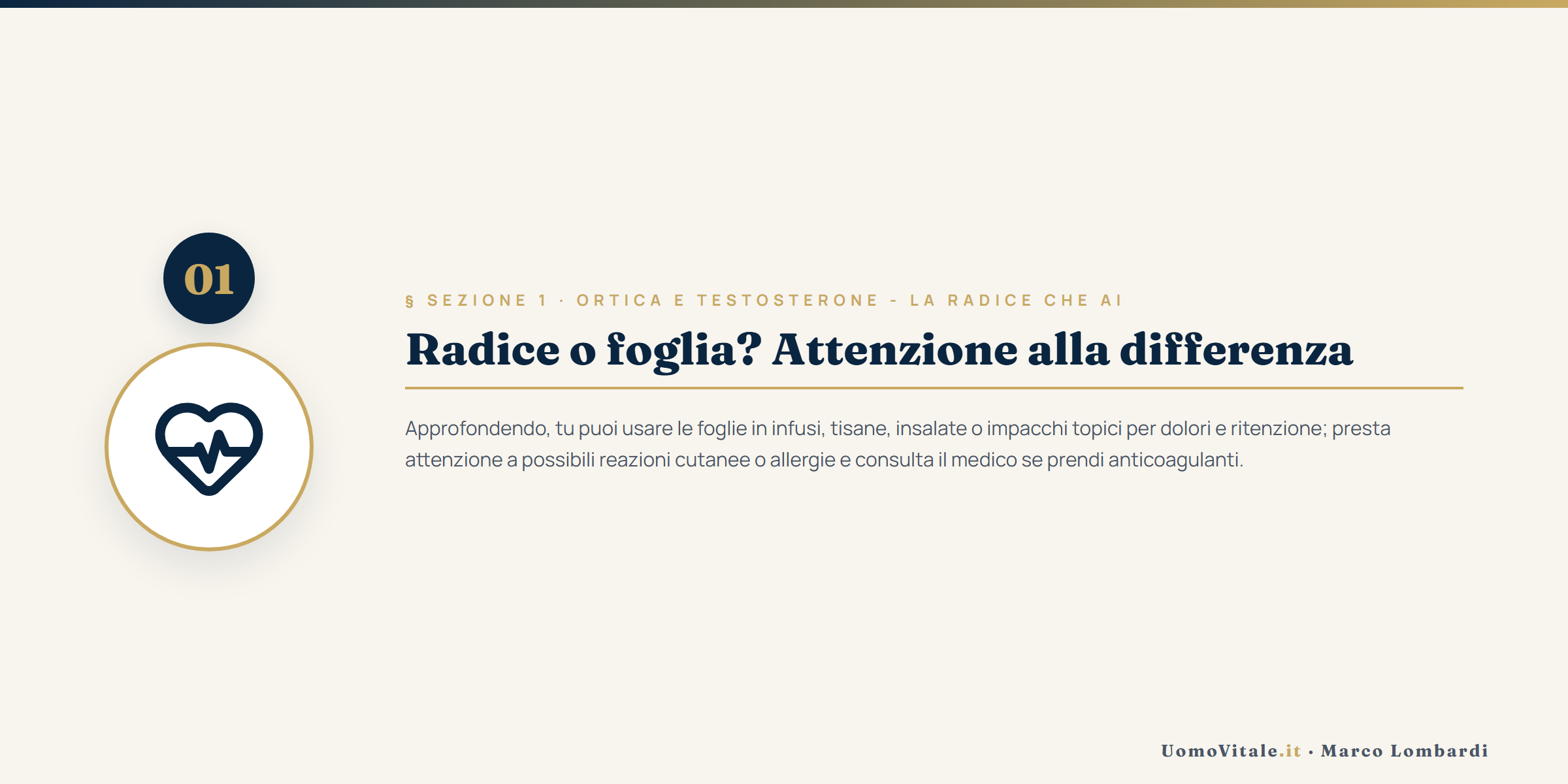 Approfondimento visivo - UomoVitale.it