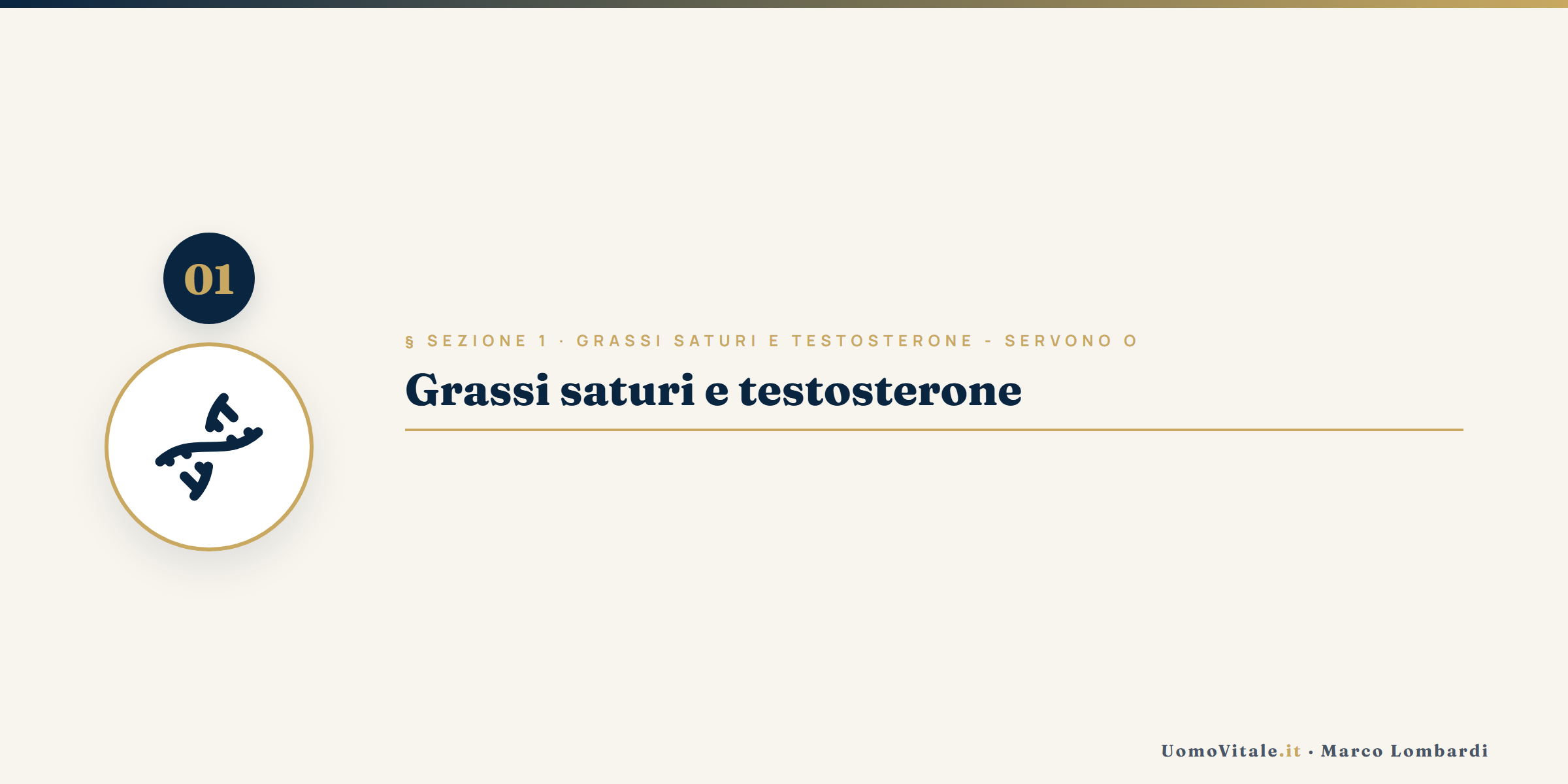 Approfondimento visivo - UomoVitale.it