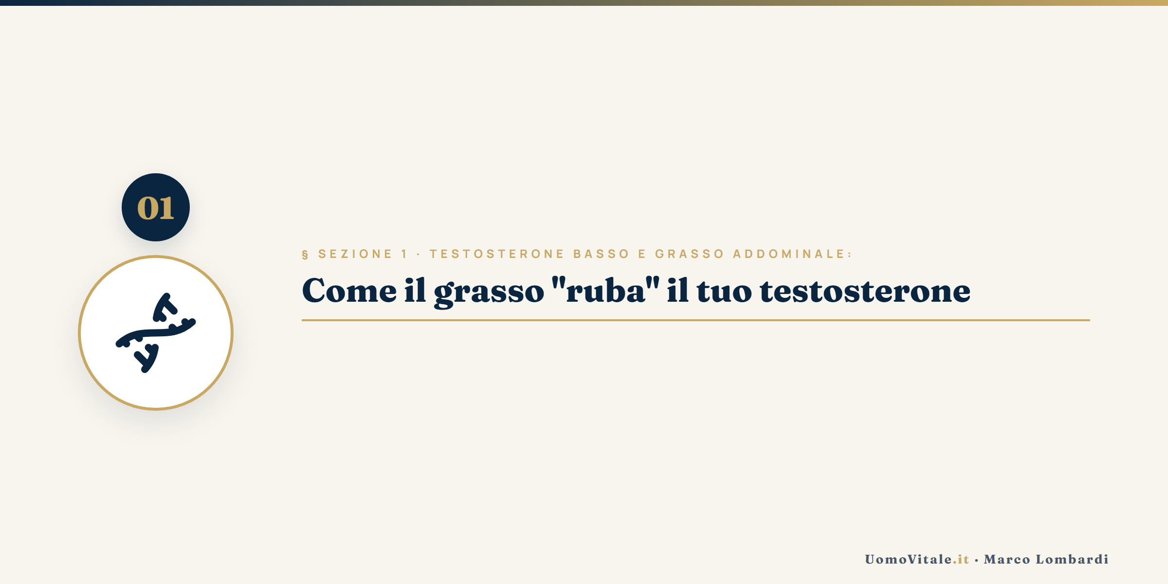 Approfondimento visivo - UomoVitale.it